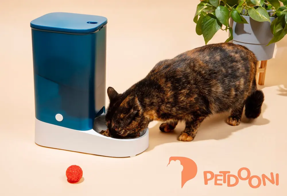 مسافرت رفتن با گربه | حیوان خانگی خود را چگونه به مسافرت ببریم؟ | پت شاپ آنلاین پت دونی 1404